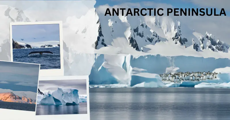 The image shows a beautiful view of the Antarctic Peninsula