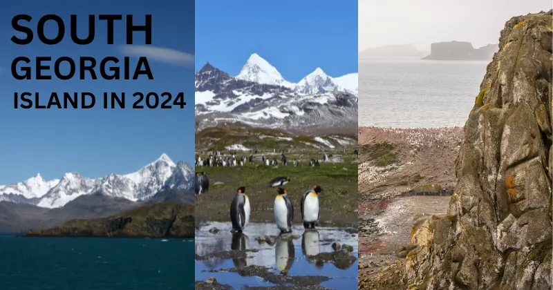 Explore South Georgia Island in 2024 – A remote destination with stunning landscapes and rich wildlife