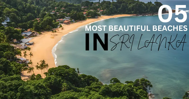 This image shows some of the most beautiful beaches in Sri Lanka