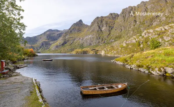 a village in Å Moskenesøy featuring traditional cabins and scenic views of revers