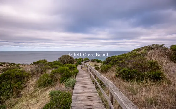 The photo features Hallett Cove Beach, one of Southern Adelaide’s best places for fishing